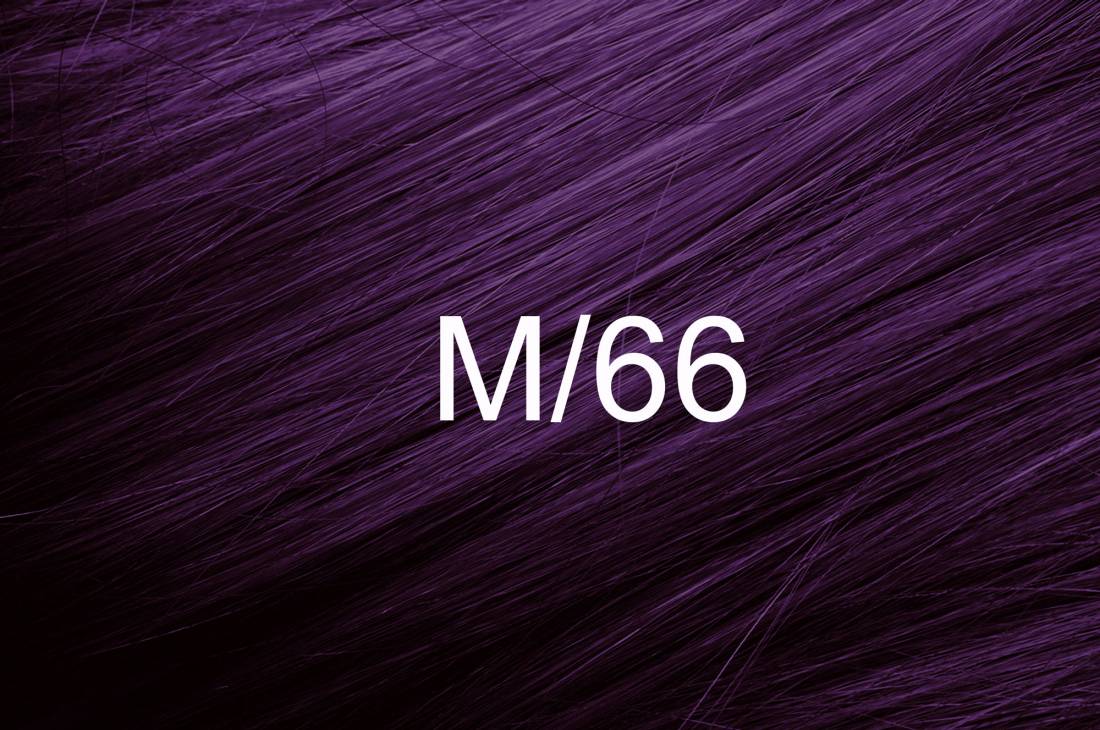 М66